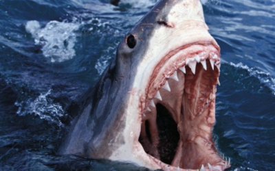 Alchemist and Conway the Machine’s ‘LULU’ EP Is An Ode To Grim Survival